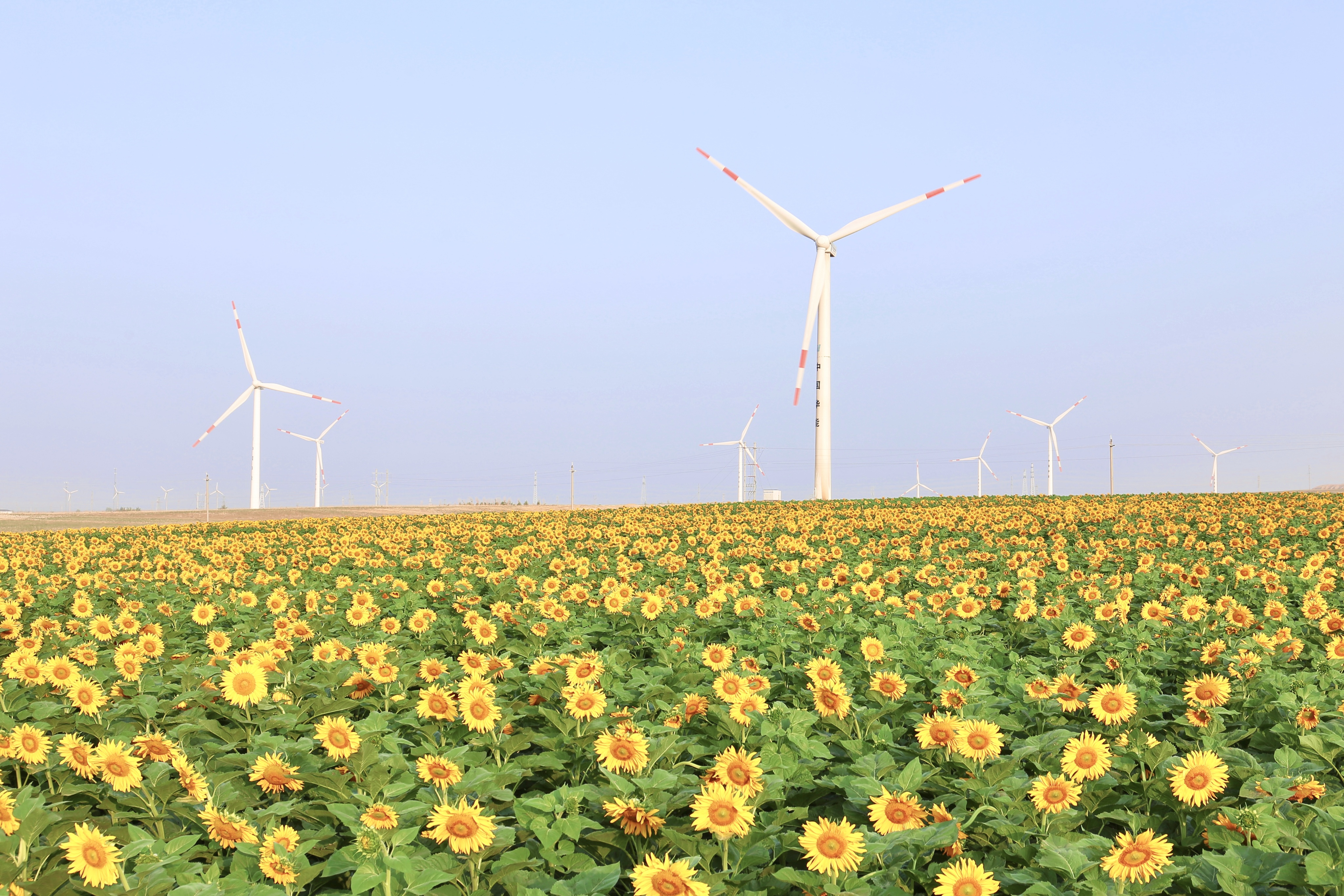 AGGAME股份助力推动风电场控制手艺国际研发项目顺遂实验